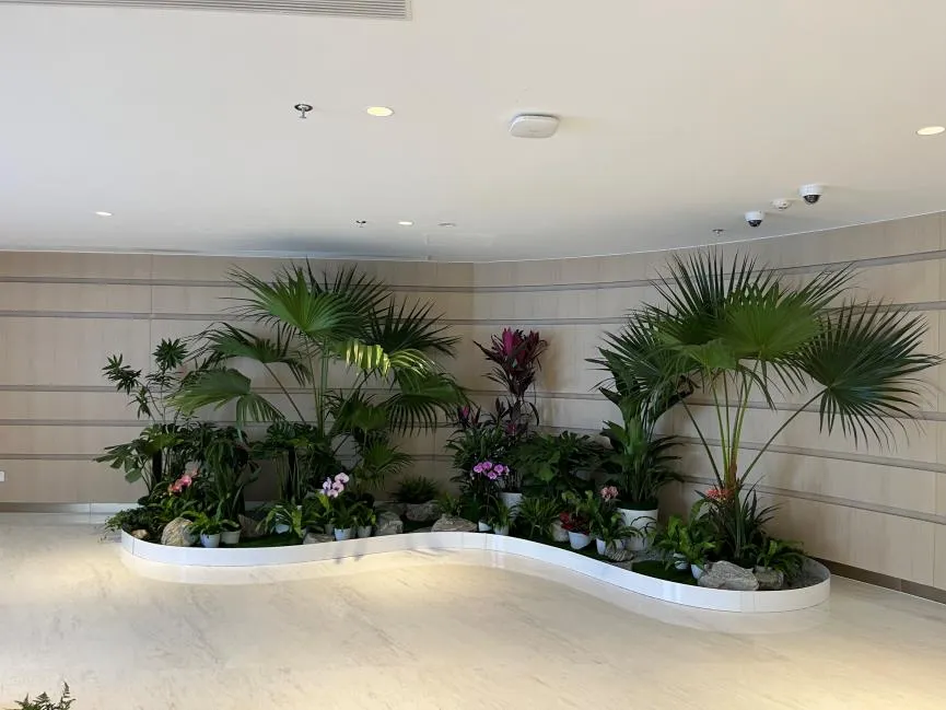 巧用奉化花卉租摆方案，装点你的美丽空间